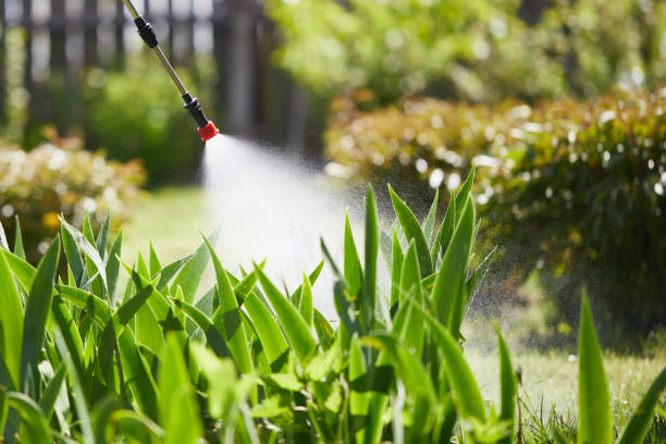 24/7 Emergency Wasp Removal experts in Quartz Hill, CA